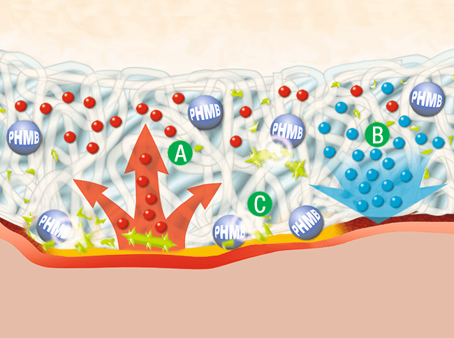 Krytí Hydrobalanční Suprasorb X+PHMB—5 x 5 cm, s polyhexanidem, antimikrobiální, 5 ks